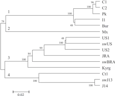 Table 1. Partial ORF2 sequence identity analyses of swBRA compared with isolates of all four HEV genotypes.