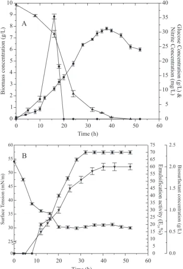 Figure 1. Growth and biosurfactant production by Bacillus subtilis  R14.  (A)- Biomass concentration ( ¢ ), nitrite concentration (  ), glucose concentration ( p ) (B)- biosurfactant concentration ( q ), surface tension (  ) and emulsification activity (