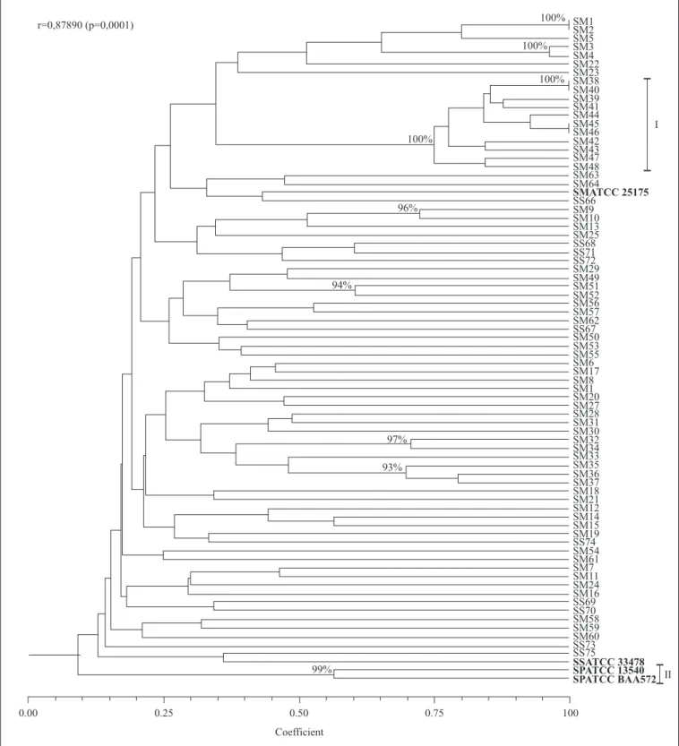 Figure 2. Dendrogram generated from the genetic similarity, using the Jaccard coefficient and the UPGMA clustering method.