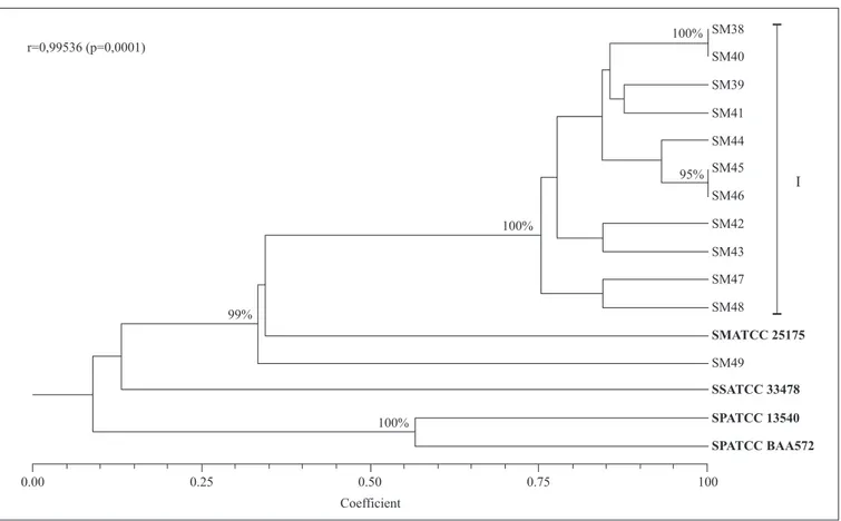 Figure 3. Principal coordinate analysis of the genetic polymorphism of the studied isolates