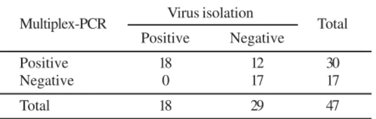 Figure 1. Ethidium bromide stained 2% agarose gel electrophoresis of the amplified products by multiplex-PCR for the BoHV-1 (354 bp) and BoHV-5 (159 bp) glycoprotein C gene in central nervous system (CNS) from cattle with neurological disease