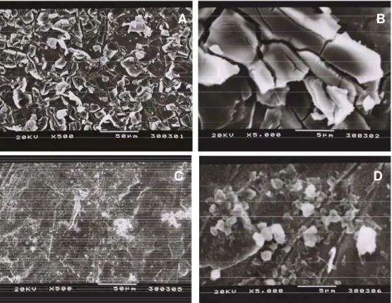 Figura 10: Imagens de Microscopia Eletrônica de Varredura para o eletrodo nanoporoso (A e  B) e nanoparticulado (C e D) em diferentes magnitudes (500x and 5000x)