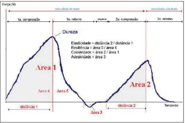 Figura 2 – Curva típica de ensaio de textura. (SANCHEZ D.B.O., 2009). 