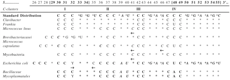 Table 3. C-clusters and preferred triplet nucleotides located at hairpin C.