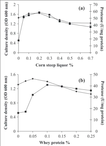 Figure 3. Effect of corn steep liquor concentration (a) and whey protein concentration (b) on growth ( u ) and protease activity ( n ) of Bacillus sp cultivated in a liquid medium containing maltose (1.0%) in shake flasks at initial pH 7.5 and at 50ºC.