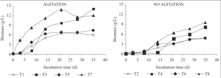Figure 5. Growth curve of Polyporus tricholoma in potato dextrose broth and 1% of peptone malt extract, cultivated at 25ºC, pH 4,5, for 35 days, in treatments: T1 and T2 (1% glucose), T3 and T4 (4% glucose), T5 and T6 (1% lactose) and T7 and T8 (4% lactose