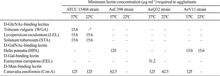 Table 1.  Activity of lectins of various specificities for A. caviae strains grown at 37ºC and 22ºC