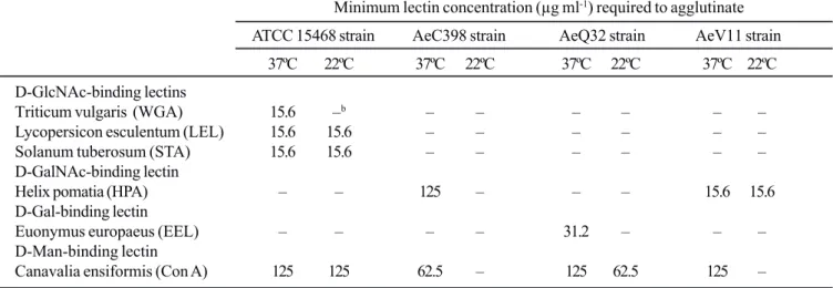 Table 1.  Activity of lectins of various specificities for A. caviae strains grown at 37ºC and 22ºC