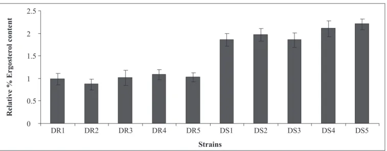 Figure 2. Membrane fluidity of azole resistant and susceptible strains of Candida albicans isolated from diabetic patients as determined by fluorescence polarization and expressed as mean fluorescence polarization “p” values of the cells (p value is invers