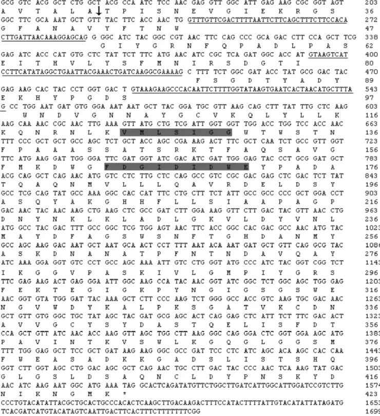 Figure 1. Nucleotide sequence of endochitinase gene Vlchit1. The deduced amino acid sequence is shown in one-letter code under the ORF