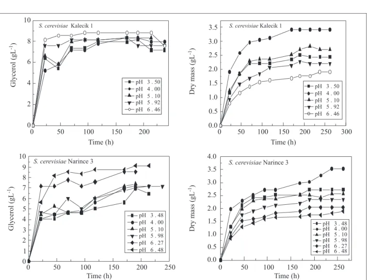 Figure 1. Variations in glycerol production and dry mass of S. cerevisiae Kalecik 1 and S