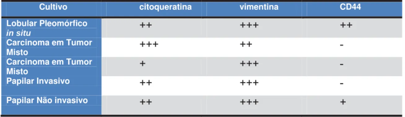 Tabela 5 – Resultados das analises imuno-histoquímicas realizadas nas amostras das células cultivadas 