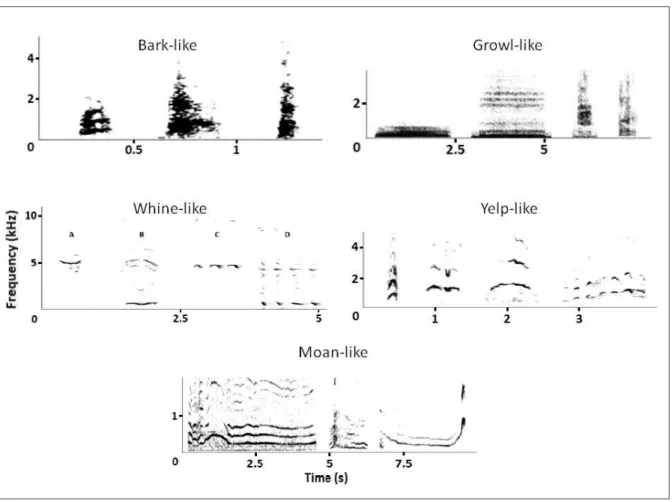 Figure 2.  Spectogram of different types of close range vocalisation of the wolf’s vocal repertoire