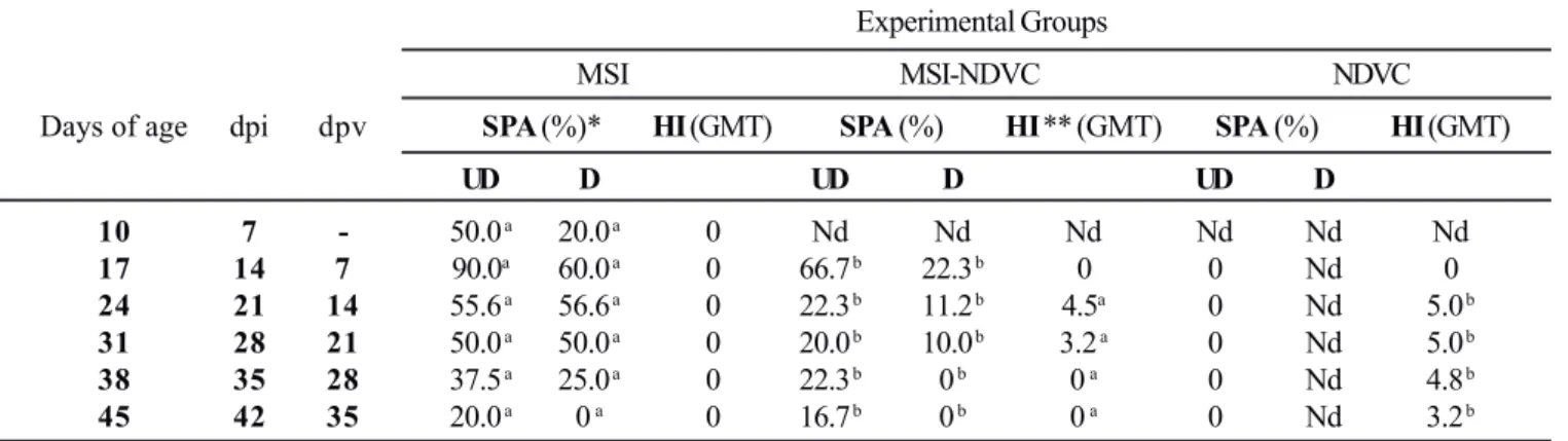 Table 2. Percentages of M. synoviae (MS) seropositivity by SPA in undiluted (UD) and diluted (D) sera and GMT/HI (log 2 ) to Newcastle Disease (ND) vaccine virus in MS infected (MSI), MS infected and ND vaccinated (MSI-NDVC) and not MS infected, but ND vac