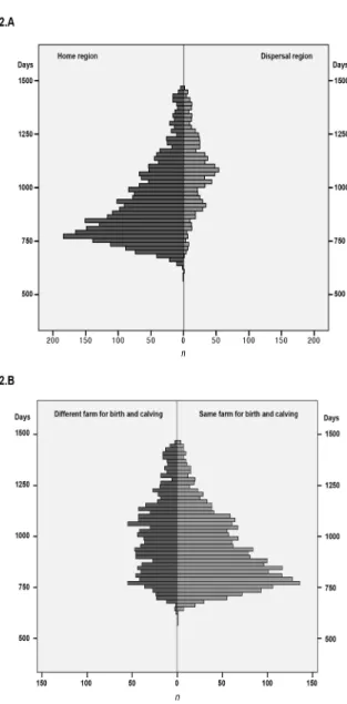 Figure 1. Main reproductive traits in Mirandesa beef  breed. A. Frequency distribution for the age at first  calving in heifers (n=3649 records)