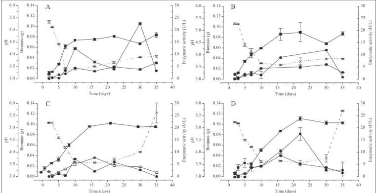 Figure 4. Growth of Trametes villosa CCB176 at different concentrations of manganese: (A) 0, (B) 50 µM, (C) 100 µM and (D) 300 µM de Mn 2+ 
