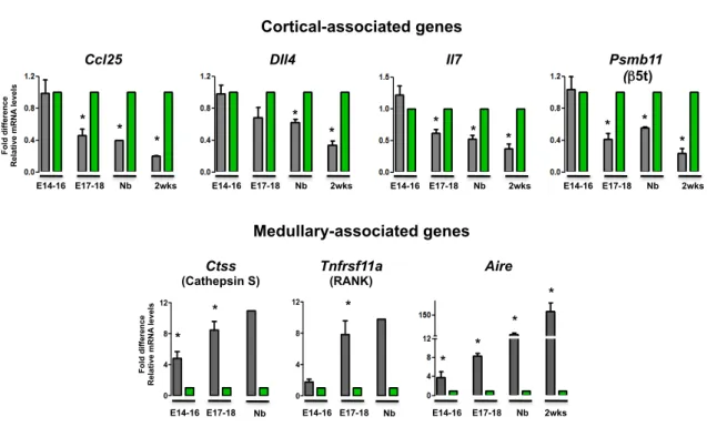 Figure 7 - Molecular characterization of YFP neg  and IL7 hi/YFP+  TECs during thymic ontogeny