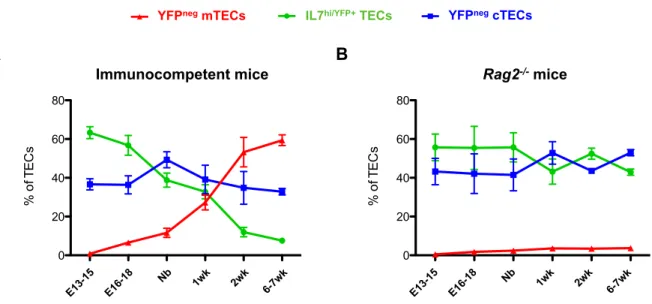 Figure  10  -  IL7 hi/YFP+   and  YFP neg  TECs exhibit distinct  developmental  kinetics under  normal  and  immunodeficient  conditions