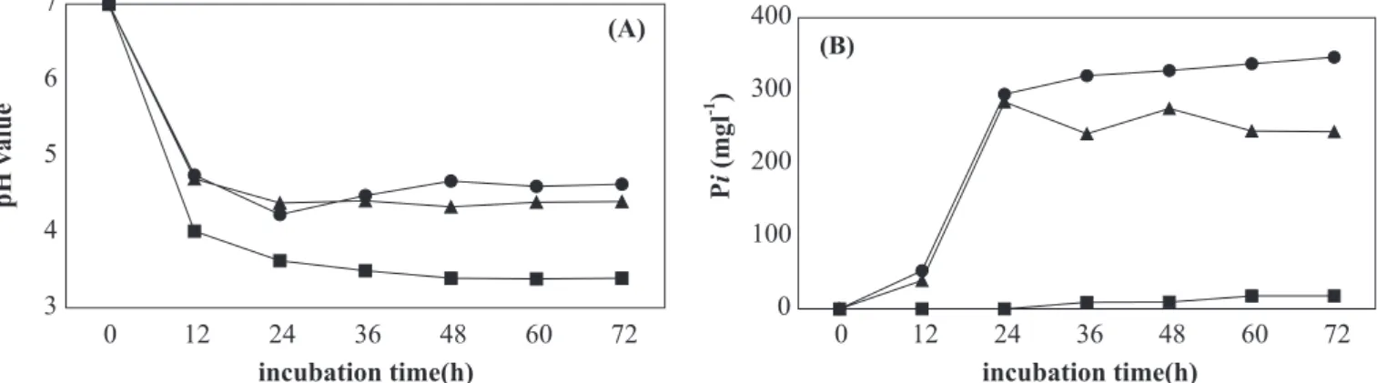 Figure 1. Changes of free phosphate concentrations during the cultivation of Burkholderia cepacia DA23 at various insoluble phosphates with time courses