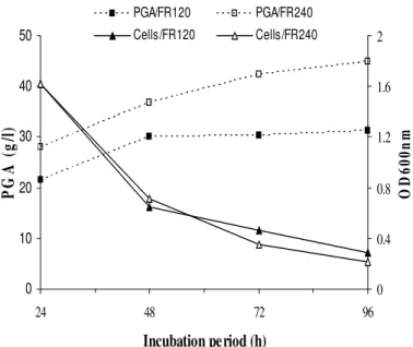 Figure  3.  Semicontinuous  production  of  PGA  by  B.  