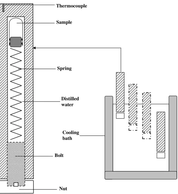 Figure 1. Scheme of the high pressure vessel and sample installation 
