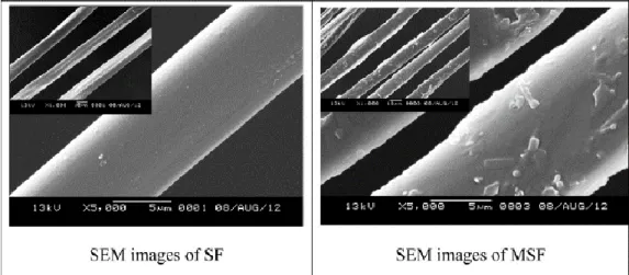 Figure 9. SEM micrographs  of the normal silk  fiber, SF (left), and  magnetic  silk fiber, MSF (right)