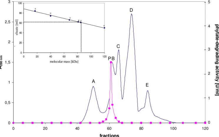 Figure 1. Estimation of the molecular mass of the phytate-degrading enzyme from Aspergillus niger by gel filtration
