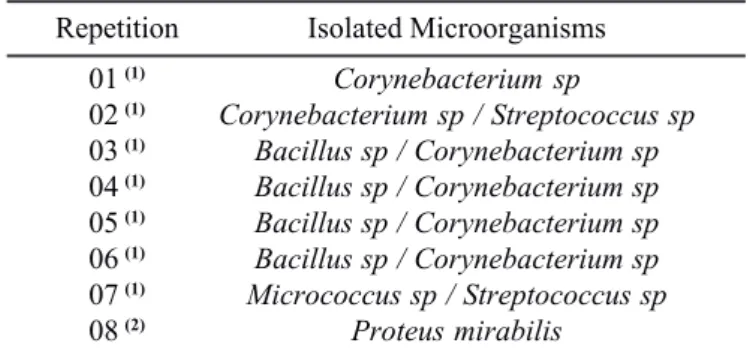 Table 2. Microorganisms other than leptospires isolated from semen samples in each repetition.