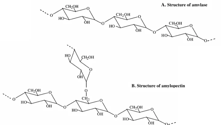 Figure 2. Two types of glucose polymers are present in starch: amylose (A) is a linear polymer consisting of up to 6000 glucose  units with  -1,4 glycosidic bonds (56) and amylopectin (B) consists of short  -1,4 linked to linear chains of 10–60 glucose uni