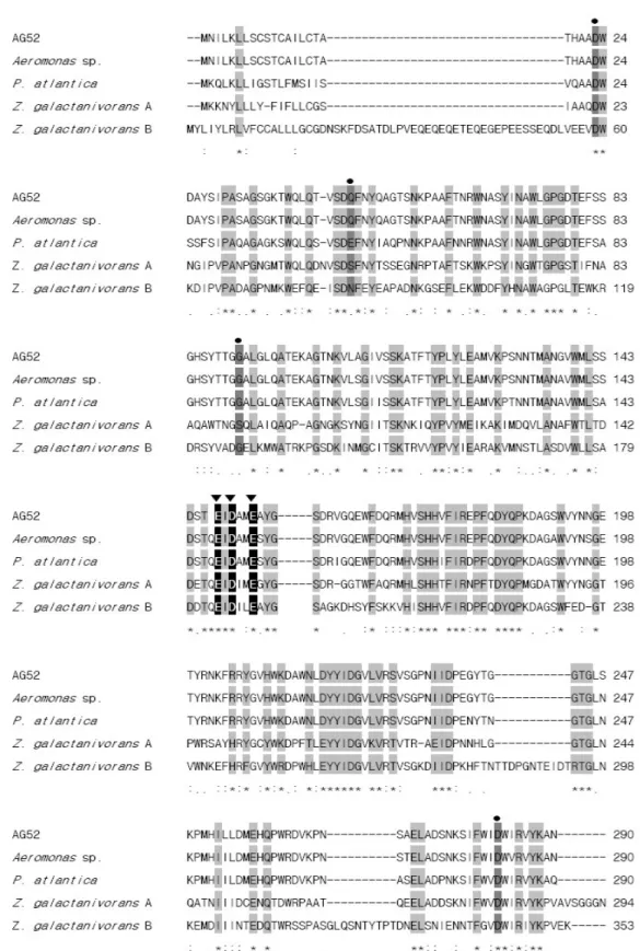 Figure 2. Multiple alignment of  -agarase amino acid sequences of Pseudoalteromonas sp