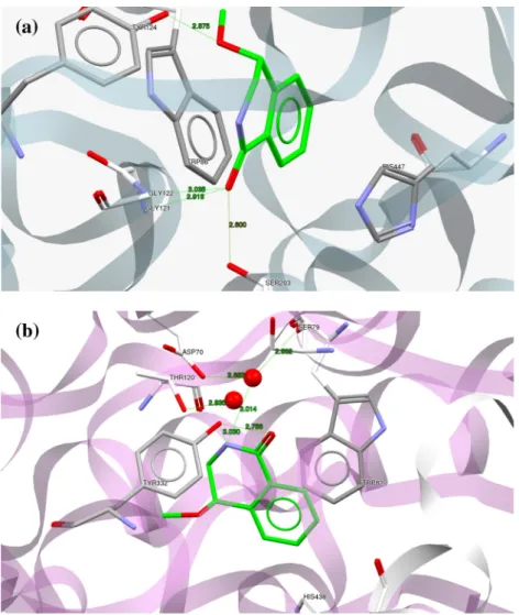 Fig. 3. Comparison of the binding mode of compound (R)-(1f) obtained by docking. (a) Display of protein ligand interaction of (R)-(1f) with hRAChE