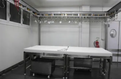 Figura 5. Sala de Desmancha. 