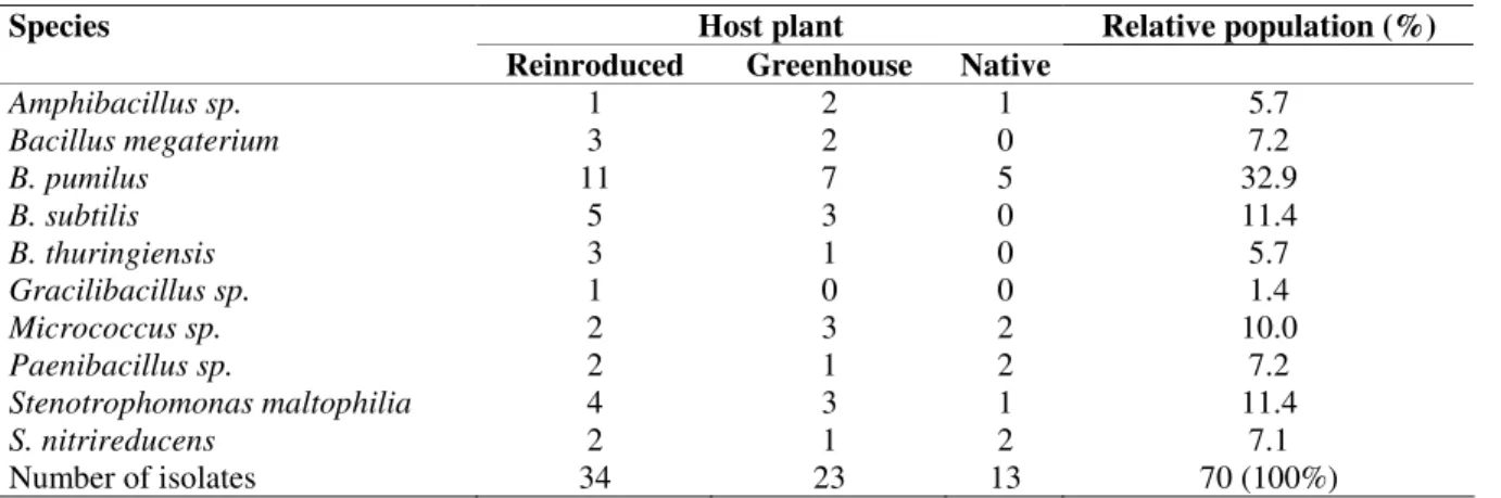 Table 2. The relative population and distribution of the fern endophytic bacterial species in the evaluated Dicksonia sellowiana  plants