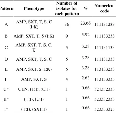 Table  4.  Most  expressive  antimicrobial  resistance  patterns  of  Shigella  isolated  from  fecal  stool  samples  and  from  foods  associated  with  foodborne  shigellosis  occurred  in  Rio  Grande  do Sul, Brazil
