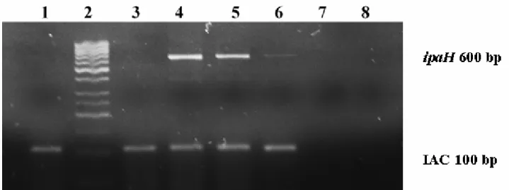 Figure  2.  Multiplex  PCR  results  from  Enriched-PCR  samples  at  different  concentrations  of  Shigella  flexneri