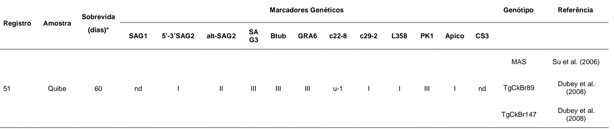 Tabela  2.  Caracterização  genotípica  de  Toxoplasma  gondii  de  amostra  de  quibe  comercializado  na  cidade  de  Botucatu,  SP,  positivo à PCR