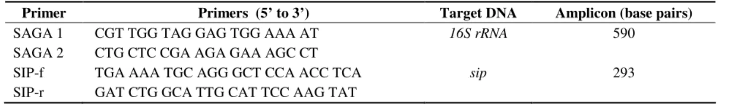 Table 1. Primers used in this study, according to Chotár et al. (8) 