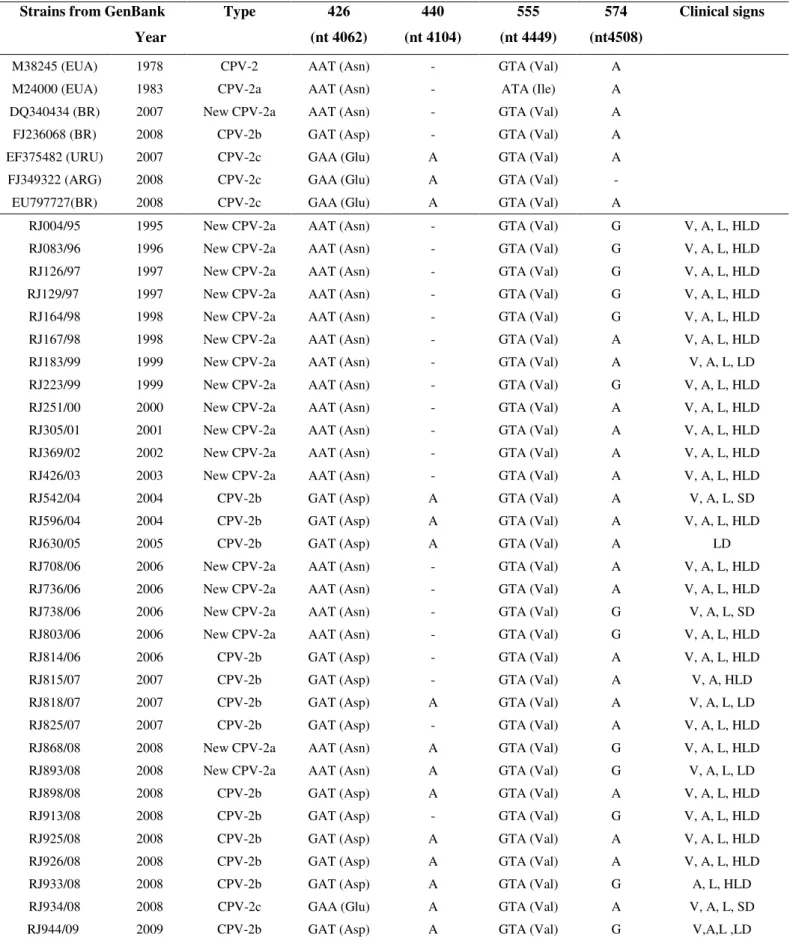 Table  1:  Nucleotide  and  amino  acid  differences  in  583  bp  amplicon  of  the  gene  of  VP2  sequences  of  32  CPV  strains  from  the  State of Rio de Janeiro, Brazil during 1995-2009