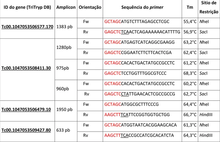 Tabela 1: Primers utilizados neste trabalho. O número de identificação (ID) de cada  gene  no  banco  de  dados  de  T