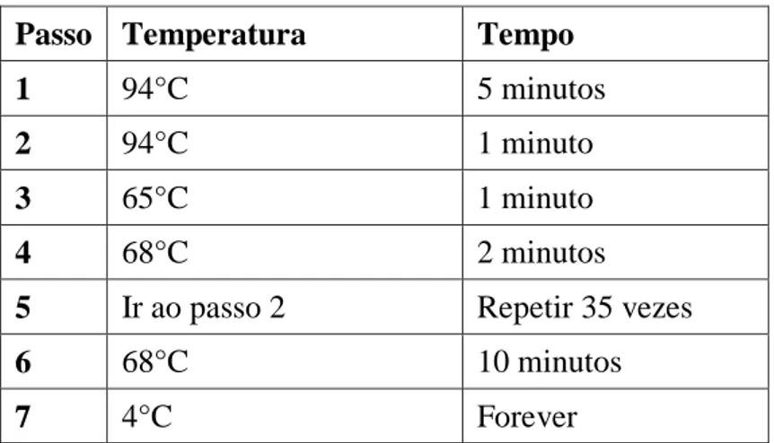 Tabela  2:  Condições  de  ciclagem  da  PCR.  O  programa  abaixo  foi  utilizado  para  a  amplificação dos alvos Tc10, Tc30.1, Tc30.2, Tc30.3, Tc 80 e Tc170
