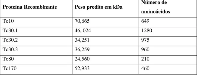 Tabela  3:  Tamanho  predito  das  proteínas  recombinantes  em  kDa  e  o  número  de  aminoácidos