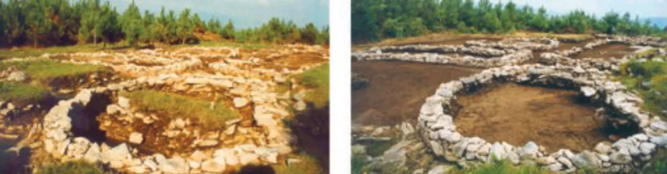 Figura 1.   Vista parcial do sector A no final da escavação arqueológica e após a escavação de áreas sem estruturas, a desmontagem  dos testemunhos de cortes estratigráficos e o nivelamento do solo.