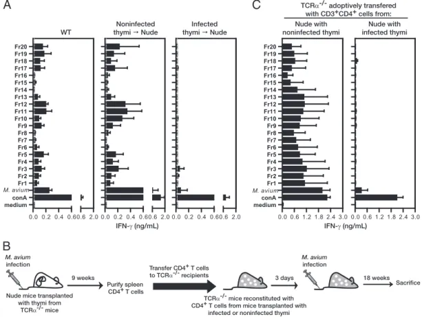 FIGURE 5. Upon immunization, T cells that differentiated within infected thymi respond in vitro to OVA