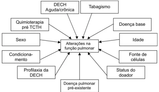 FIGURA 7:  Variáveis avaliadas em relação às alterações na função pulmonar. 