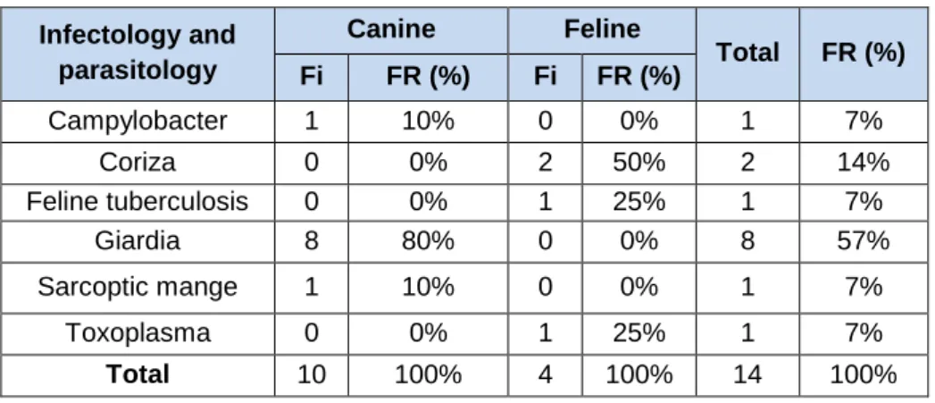 Table 14: Case distribution regarding Infectology and Parasitology  Infectology and  parasitology  Canine  Feline  Total  FR (%)  Fi  FR (%)  Fi  FR (%)  Campylobacter  1  10%  0  0%  1  7%  Coriza  0  0%  2  50%  2  14%  Feline tuberculosis  0  0%  1  25%