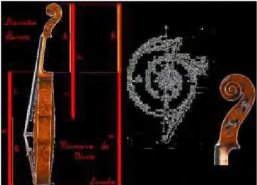 Figura 14 – Violino em proporção áurea ‡‡‡