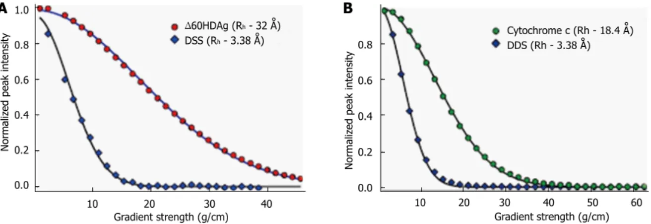 Figure 5  Nuclear magnetic resonance pulsed-field gradient diffusion measurements. A: NMR PFG diffusion measurements of ∆60HDAg, performed on a  Bruker 600 MHz Avance II