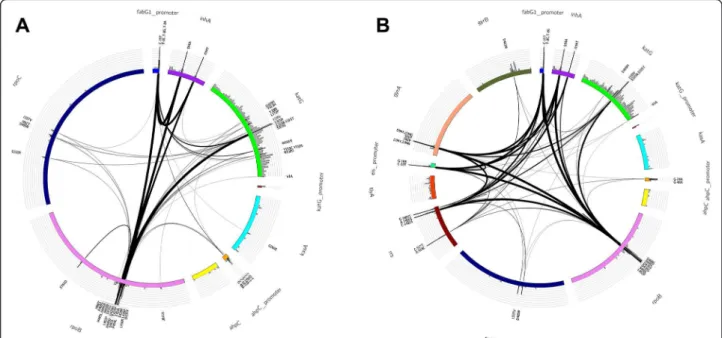 Figure 1 Polymorphism in the curated library used for predicting multi-drug resistant TB (MDR-TB) and extensive-drug resistant TB (XDR-TB)