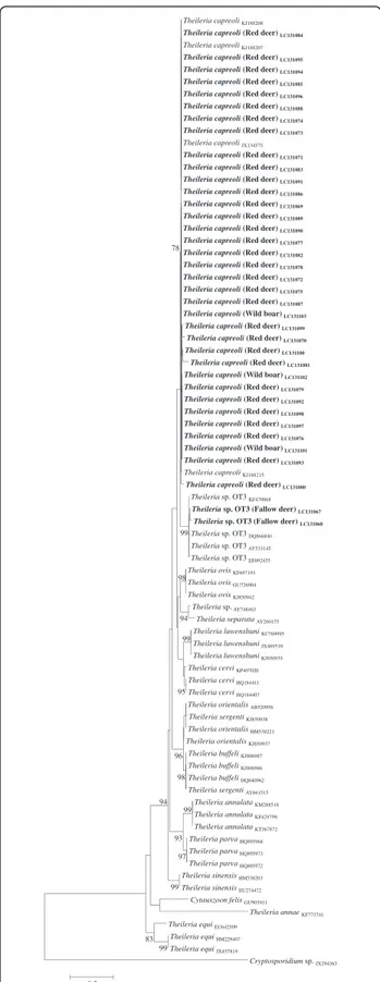 Fig. 2 Phylogenetic tree of Theileria spp. based on 18S rRNA gene sequences