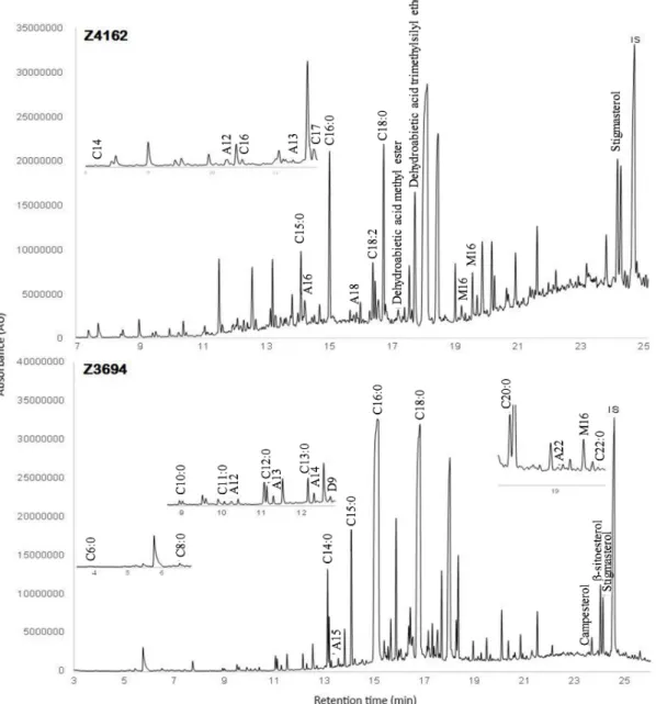 Figure 5. GC-MS chromatograms of samples Z4162 and Z3694. Cx: n-alkane with x carbon atoms; Ax: 